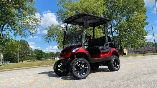 2009 Yamaha G29 Electric Golf Cart